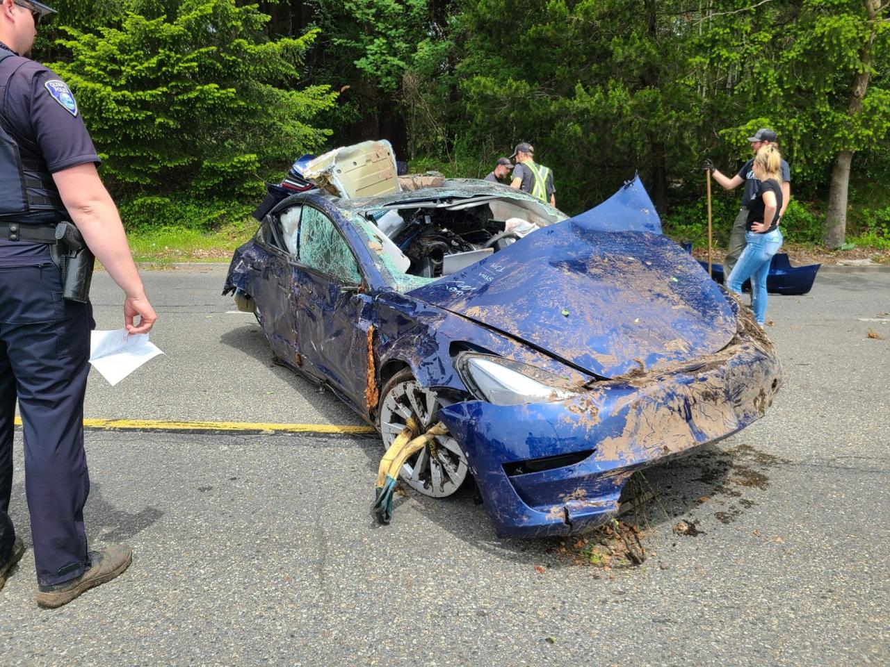 Tesla property casualty