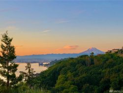 Tacoma Property for Sale Your Dream Home Awaits