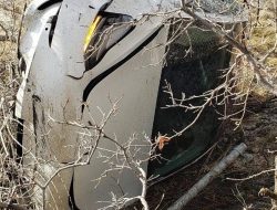 Tesla Property Casualty Protecting Your Investment