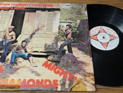 Mighty Diamonds I Need a Roof Unlocking Potential