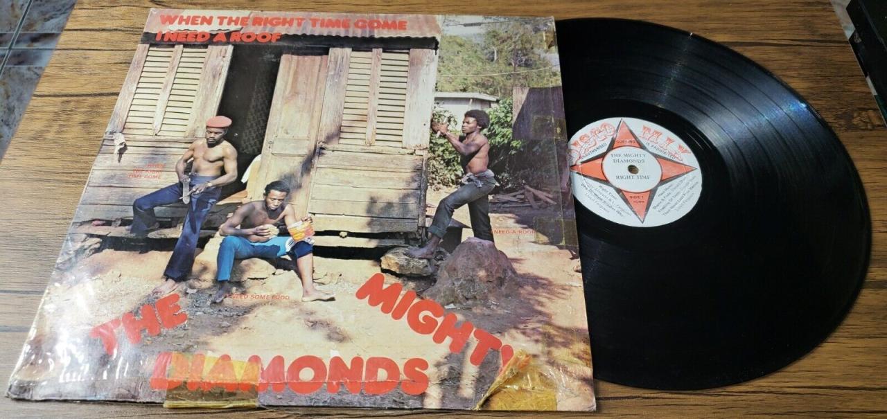 Mighty diamonds i need a roof