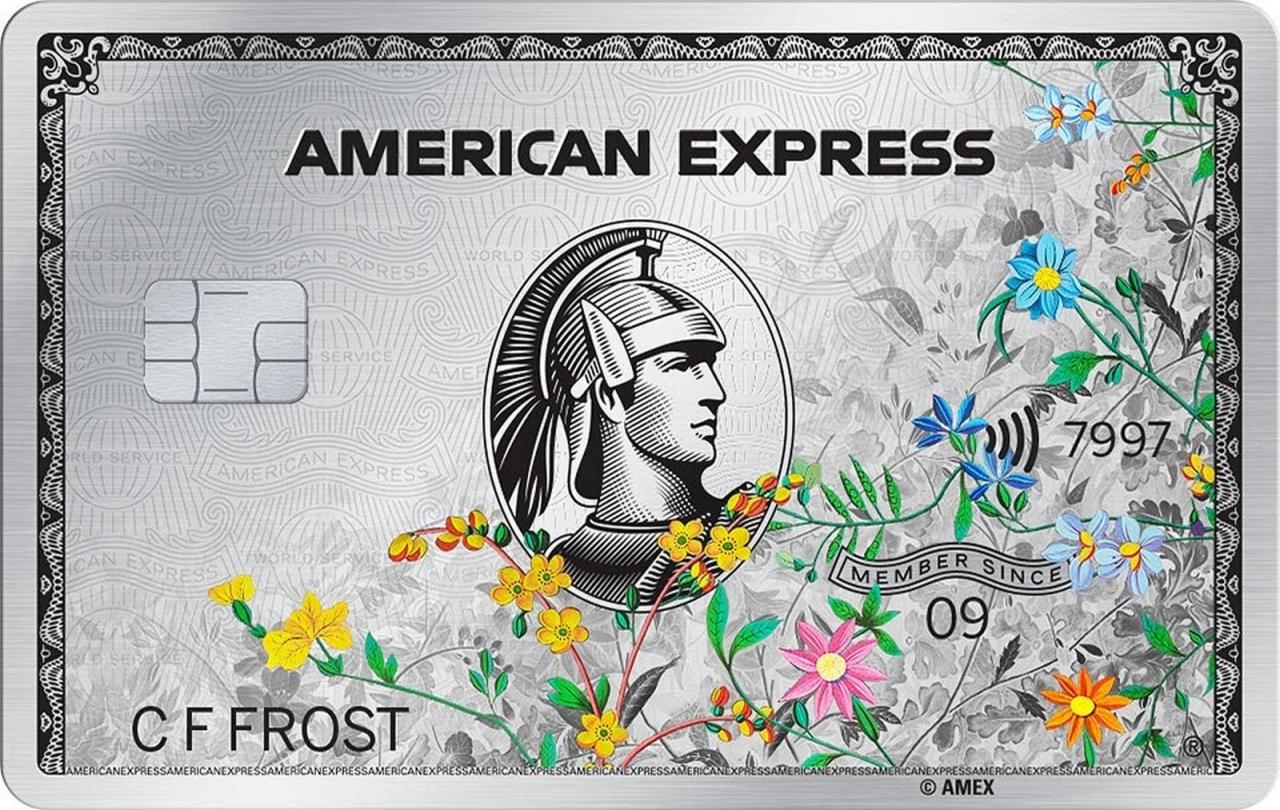 The Platinum Card® from American Express
