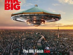 Big Floors Garagetrac Diamond Unlocking Potential