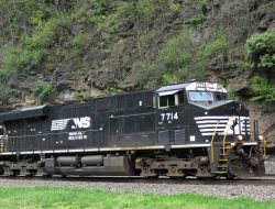 southern prepper one Unleashing Your Survival Potential