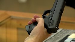 gun - photo/picture definition at Photo Dictionary - gun word and ...