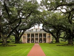 southern prepper 1 The Essential Guide to Translation