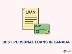 Affordable Finance Options For Small Business Loans In Canada