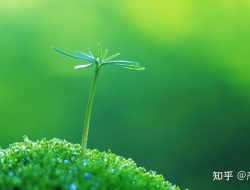 Best Education Resources For Students With Adhd